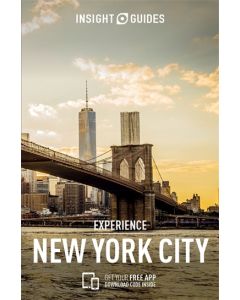 NewYork InsightExperience 